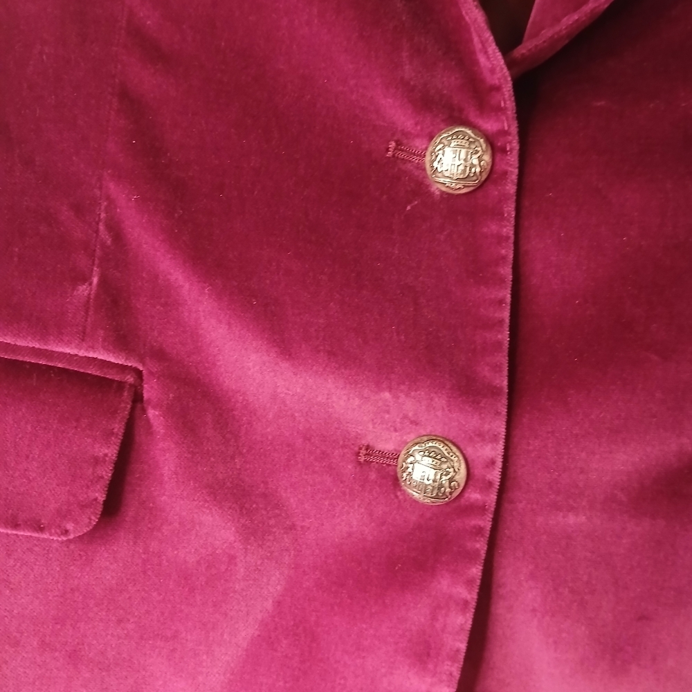 Tagliatore Women's Blazer in Deep Purple Velvet - Picture 4 of 14